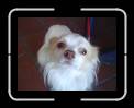 013 Trixie la mascotte * 1632 x 1224 * (714KB)